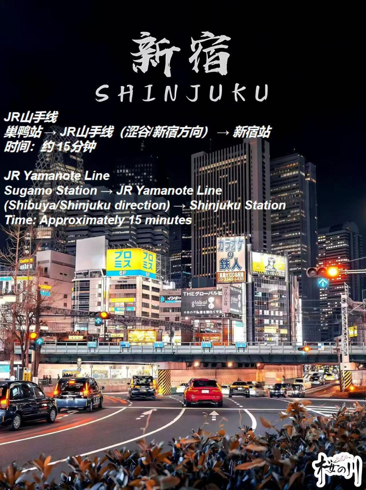 桜の川2 Sugamo Diamond Mansion 206 Direct To Ikebukuro Yamanote Line 5mins Präfektur Tokio